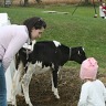 Pumpkin Patch Richardsons in Dunnville
